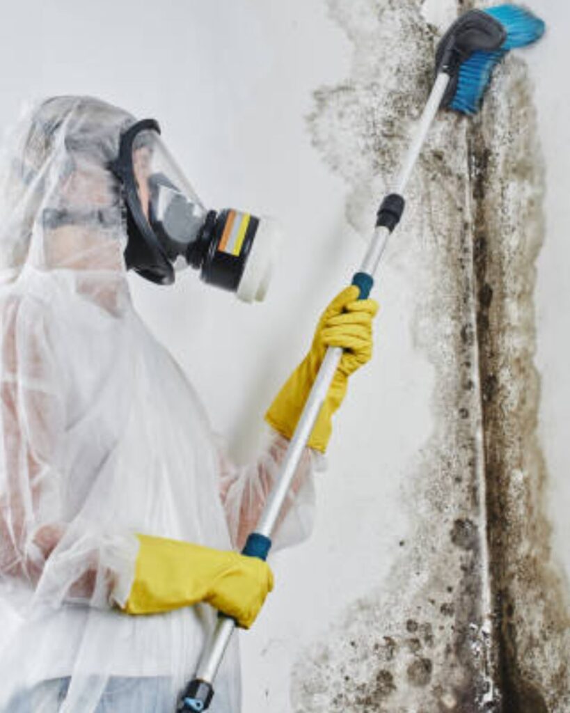 Mold Detection Union New Jersey