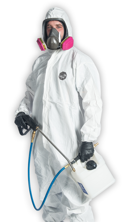 Expert Mold Remediation Solutions For You in Union NJ