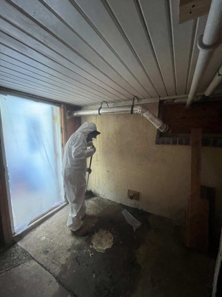 Mold Removal in Union